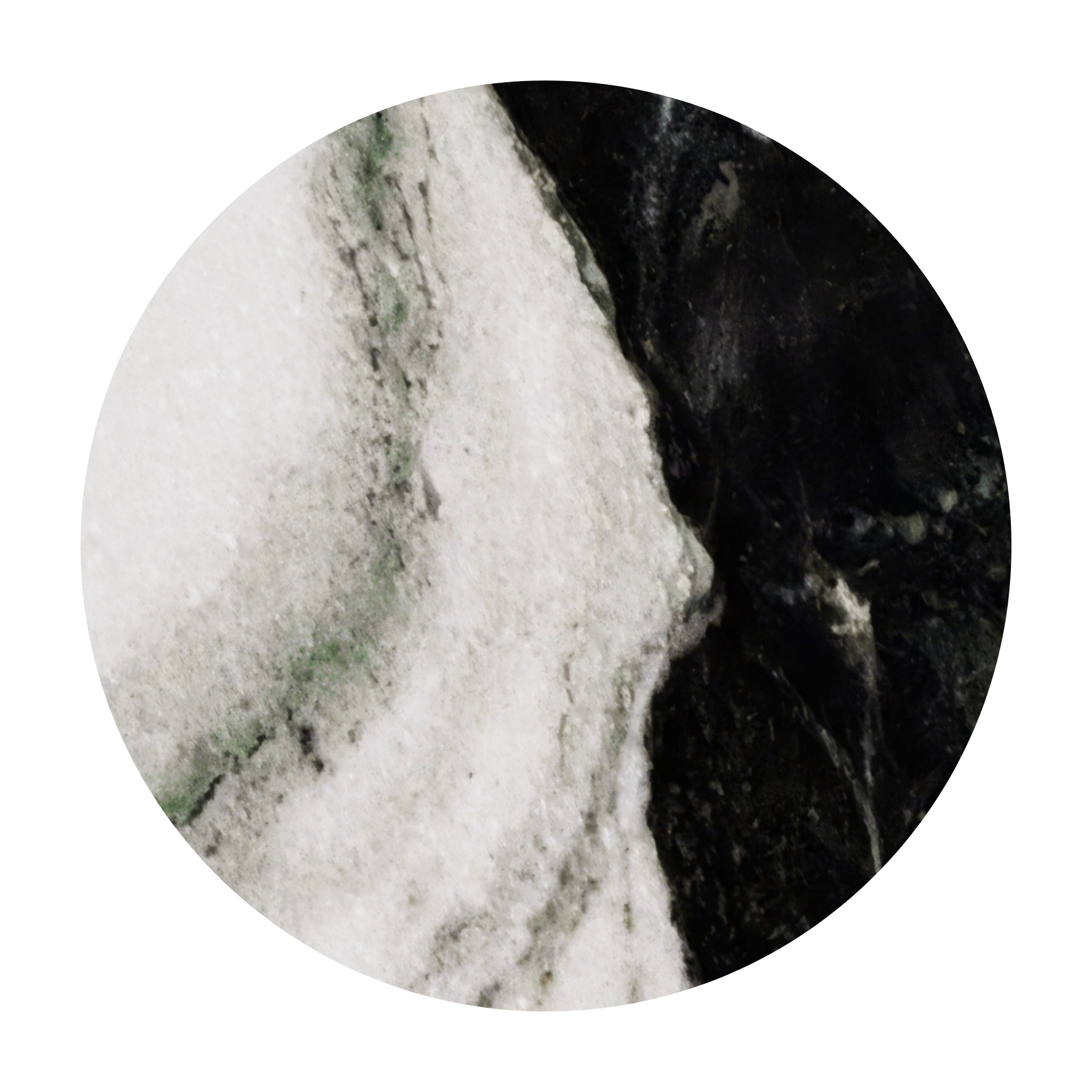 Panda Marble Sample
